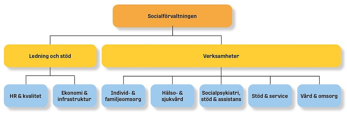 Bild över socialförvaltningens organisation